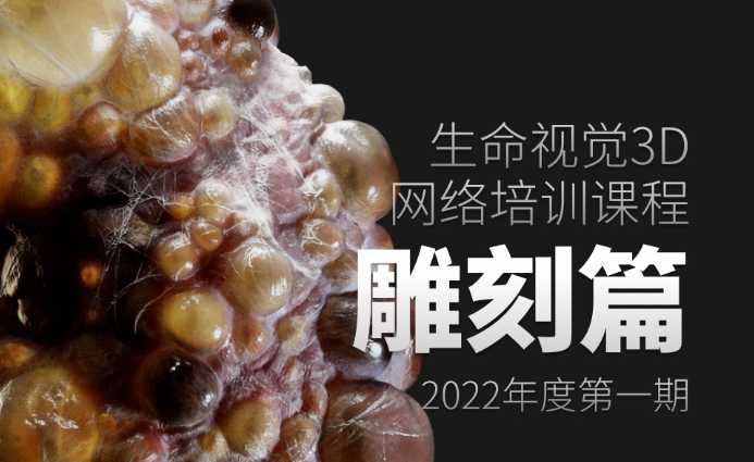 生命视觉3D培训课-雕刻篇一目可视XO09