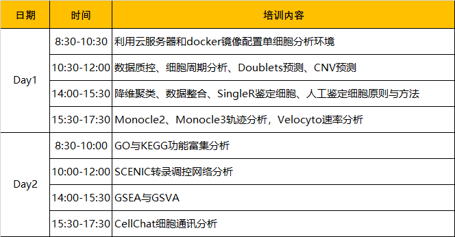 单细胞转录组全栈培训：第一季会客厅XS01