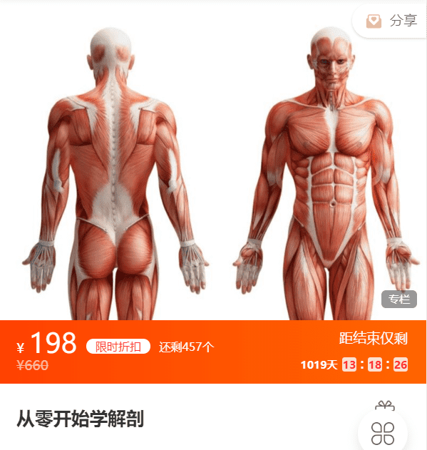 从零开始学解剖鼎湖VD07