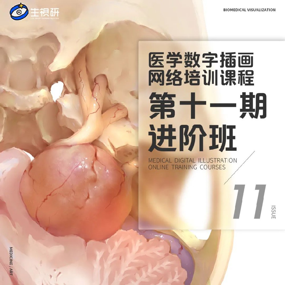 医学插画网络班·第11期·进阶班一目可视XO12