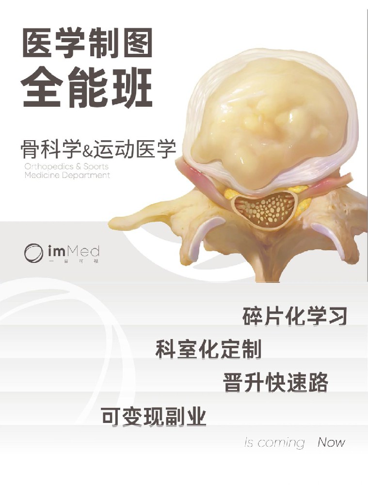 第2期·全能班·骨科学&运动医学专题一目可视XO23-2