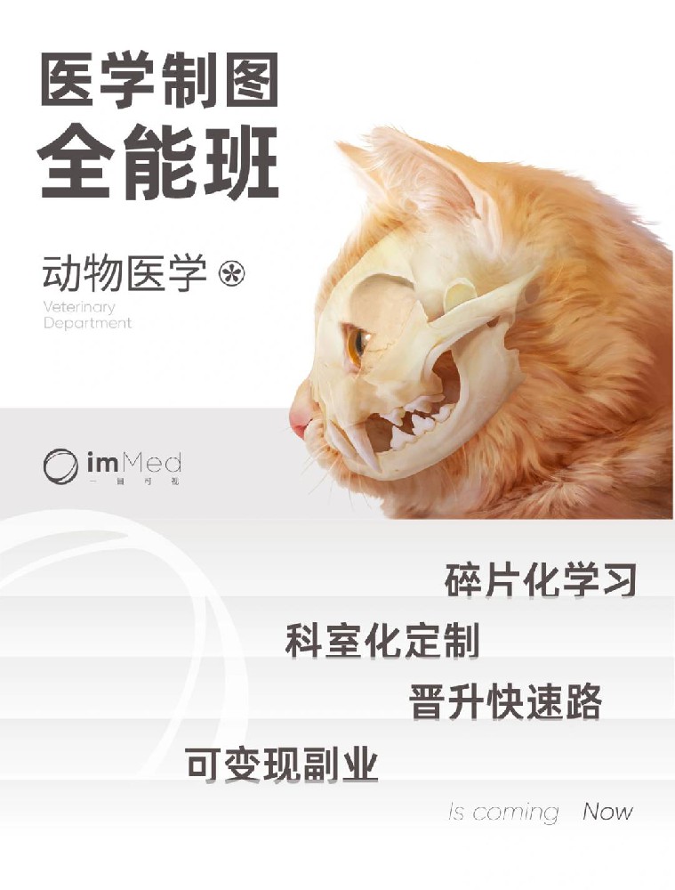 第2期·全能班·动物医学专题一目可视XO29-2