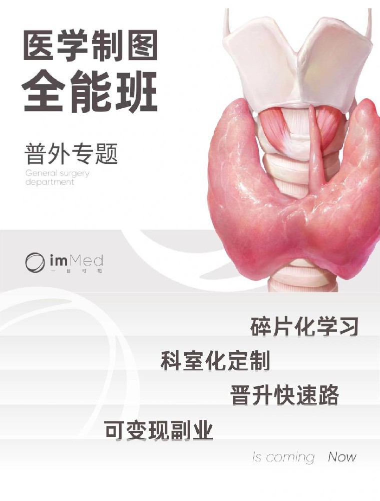 第2期·全能班·普外 消化专题一目可视XO30-2