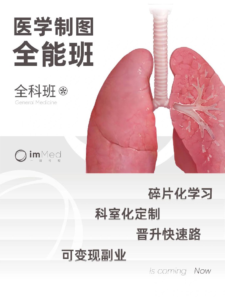 医学制图全能班 · 全科专题一目可视XO33