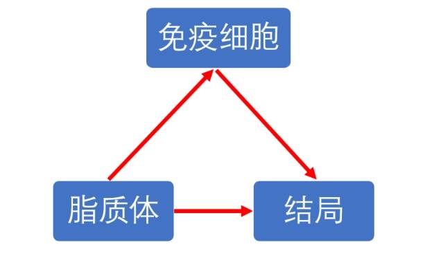 脂质体联合免疫细胞孟德尔随机化课程狂人DH108