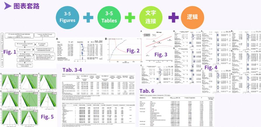 一对一全程辅导学Meta分析和网状Meta分析，圆你一篇SCI梦3月4-5日玮瑜XW24