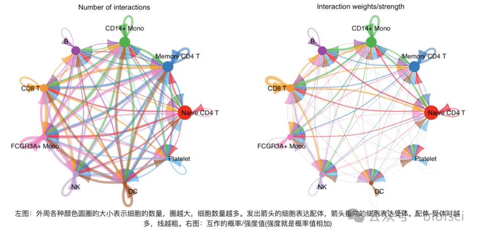零基础高分单细胞联合孟德尔随机化分析课程速发SCI课程-生信私学YX91