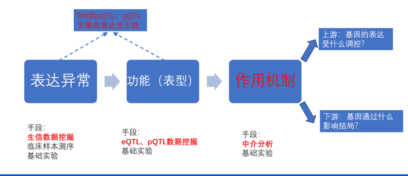 eQTL\pQTL基因下游作用机制-狂人DH151