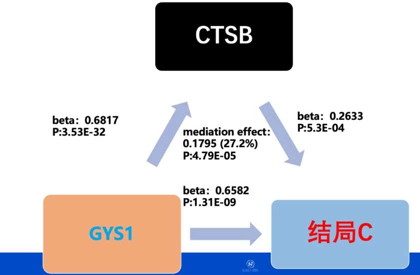 铁死亡pQTL数据挖掘-狂人DH166